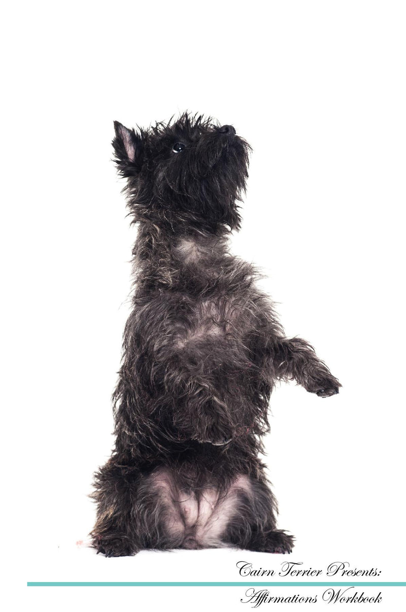 Cairn Terrier Affirmations Workbook Cairn Terrier Presents: Positive and Loving Affirmations Workbook. Includes: Mentoring Questions, Guidance, Supporting You.