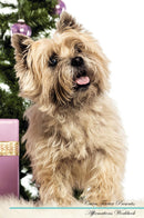 Cairn Terrier Affirmations Workbook Cairn Terrier Presents: Positive and Loving Affirmations Workbook. Includes: Mentoring Questions, Guidance, Supporting You.