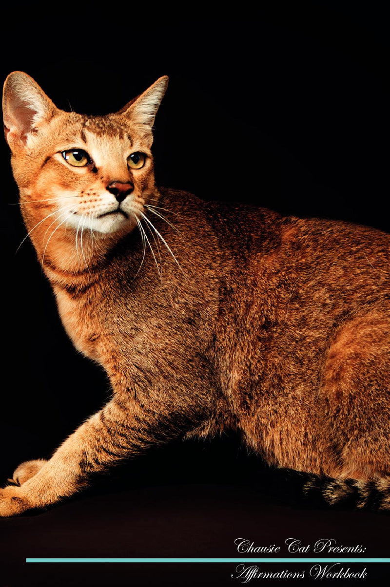 Chausie Cat Affirmations Workbook Chausie Cat Presents: Positive and Loving Affirmations Workbook. Includes: Mentoring Questions, Guidance, Supporting You.