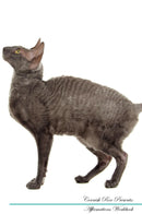 Cornish Rex Affirmations Workbook Cornish Rex Presents: Positive and Loving Affirmations Workbook. Includes: Mentoring Questions, Guidance, Supporting You.