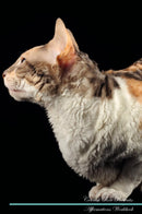 Cornish Rex Affirmations Workbook Cornish Rex Presents: Positive and Loving Affirmations Workbook. Includes: Mentoring Questions, Guidance, Supporting You.