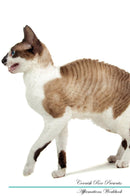 Cornish Rex Affirmations Workbook Cornish Rex Presents: Positive and Loving Affirmations Workbook. Includes: Mentoring Questions, Guidance, Supporting You.