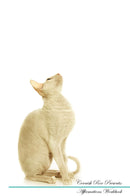 Cornish Rex Affirmations Workbook Cornish Rex Presents: Positive and Loving Affirmations Workbook. Includes: Mentoring Questions, Guidance, Supporting You.