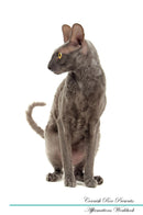 Cornish Rex Affirmations Workbook Cornish Rex Presents: Positive and Loving Affirmations Workbook. Includes: Mentoring Questions, Guidance, Supporting You.