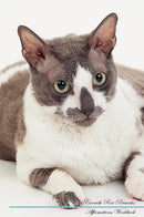 Cornish Rex Affirmations Workbook Cornish Rex Presents: Positive and Loving Affirmations Workbook. Includes: Mentoring Questions, Guidance, Supporting You.