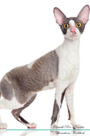 Cornish Rex Affirmations Workbook Cornish Rex Presents: Positive and Loving Affirmations Workbook. Includes: Mentoring Questions, Guidance, Supporting You.