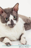 Cornish Rex Affirmations Workbook Cornish Rex Presents: Positive and Loving Affirmations Workbook. Includes: Mentoring Questions, Guidance, Supporting You.