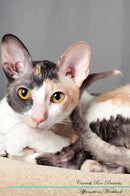 Cornish Rex Affirmations Workbook Cornish Rex Presents: Positive and Loving Affirmations Workbook. Includes: Mentoring Questions, Guidance, Supporting You.