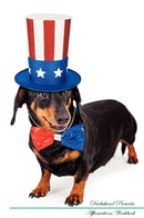 Dachshund Affirmations Workbook Dachshund Presents: Positive and Loving Affirmations Workbook. Includes: Mentoring Questions, Guidance, Supporting You.