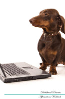 Dachshund Affirmations Workbook Dachshund Presents: Positive and Loving Affirmations Workbook. Includes: Mentoring Questions, Guidance, Supporting You.