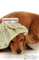 Dachshund Affirmations Workbook Dachshund Presents: Positive and Loving Affirmations Workbook. Includes: Mentoring Questions, Guidance, Supporting You.