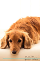 Dachshund Affirmations Workbook Dachshund Presents: Positive and Loving Affirmations Workbook. Includes: Mentoring Questions, Guidance, Supporting You.