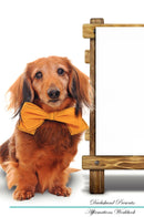 Dachshund Affirmations Workbook Dachshund Presents: Positive and Loving Affirmations Workbook. Includes: Mentoring Questions, Guidance, Supporting You.
