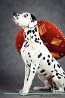 Dalmatian Affirmations Workbook Dalmatian Presents: Positive and Loving Affirmations Workbook. Includes: Mentoring Questions, Guidance, Supporting You.