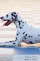 Dalmatian Affirmations Workbook Dalmatian Presents: Positive and Loving Affirmations Workbook. Includes: Mentoring Questions, Guidance, Supporting You.