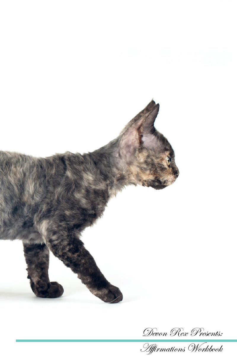 Devon Rex Affirmations Workbook Devon Rex Presents: Positive and Loving Affirmations Workbook. Includes: Mentoring Questions, Guidance, Supporting You.
