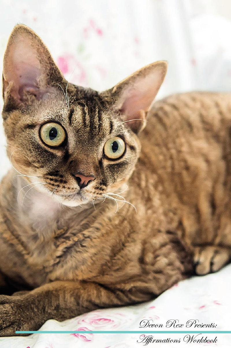Devon Rex Affirmations Workbook Devon Rex Presents: Positive and Loving Affirmations Workbook. Includes: Mentoring Questions, Guidance, Supporting You.