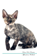 Devon Rex Affirmations Workbook Devon Rex Presents: Positive and Loving Affirmations Workbook. Includes: Mentoring Questions, Guidance, Supporting You.