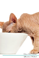 Devon Rex Affirmations Workbook Devon Rex Presents: Positive and Loving Affirmations Workbook. Includes: Mentoring Questions, Guidance, Supporting You.