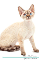 Devon Rex Affirmations Workbook Devon Rex Presents: Positive and Loving Affirmations Workbook. Includes: Mentoring Questions, Guidance, Supporting You.
