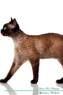 Devon Rex Affirmations Workbook Devon Rex Presents: Positive and Loving Affirmations Workbook. Includes: Mentoring Questions, Guidance, Supporting You.