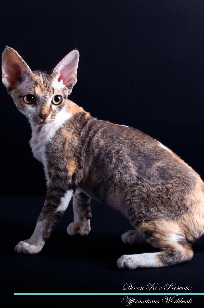 Devon Rex Affirmations Workbook Devon Rex Presents: Positive and Loving Affirmations Workbook. Includes: Mentoring Questions, Guidance, Supporting You.