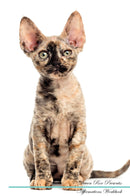 Devon Rex Affirmations Workbook Devon Rex Presents: Positive and Loving Affirmations Workbook. Includes: Mentoring Questions, Guidance, Supporting You.