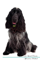 English Cocker Spaniel Affirmations Workbook English Cocker Spaniel Presents: Positive and Loving Affirmations Workbook. Includes: Mentoring Questions, Guidance, Supporting You.