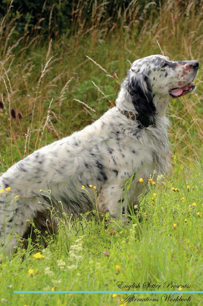 English Setter Affirmations Workbook English Setter Presents: Positive and Loving Affirmations Workbook. Includes: Mentoring Questions, Guidance, Supporting You.