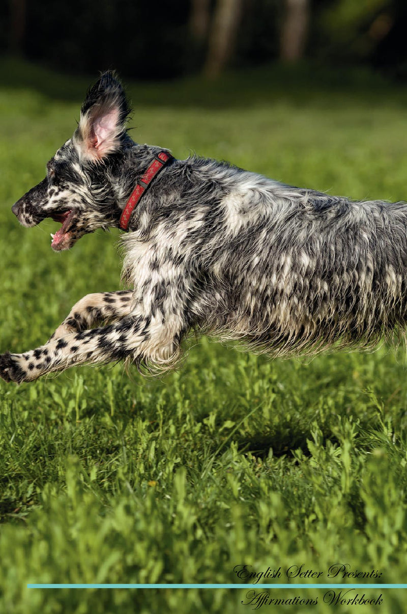 English Setter Affirmations Workbook English Setter Presents: Positive and Loving Affirmations Workbook. Includes: Mentoring Questions, Guidance, Supporting You.
