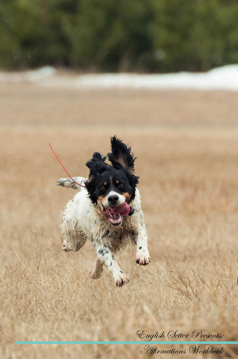 English Setter Affirmations Workbook English Setter Presents: Positive and Loving Affirmations Workbook. Includes: Mentoring Questions, Guidance, Supporting You.