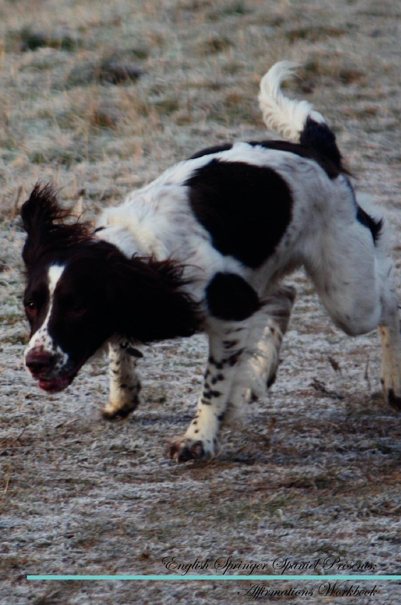 English Springer Spaniel Affirmations Workbook English Springer Spaniel Presents: Positive and Loving Affirmations Workbook. Includes: Mentoring Questions, Guidance, Supporting You.