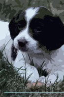 English Springer Spaniel Affirmations Workbook English Springer Spaniel Presents: Positive and Loving Affirmations Workbook. Includes: Mentoring Questions, Guidance, Supporting You.
