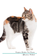 European Shorthair Cat Affirmations Workbook European Shorthair Cat Presents: Positive and Loving Affirmations Workbook. Includes: Mentoring Questions, Guidance, Supporting You.