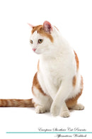 European Shorthair Cat Affirmations Workbook European Shorthair Cat Presents: Positive and Loving Affirmations Workbook. Includes: Mentoring Questions, Guidance, Supporting You.