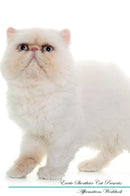 Exotic Shorthair Cat Affirmations Workbook Exotic Shorthair Cat Presents: Positive and Loving Affirmations Workbook. Includes: Mentoring Questions, Guidance, Supporting You.
