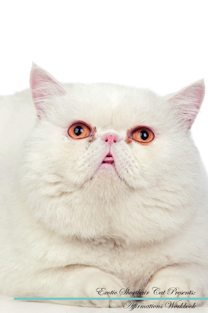 Exotic Shorthair Cat Affirmations Workbook Exotic Shorthair Cat Presents: Positive and Loving Affirmations Workbook. Includes: Mentoring Questions, Guidance, Supporting You.