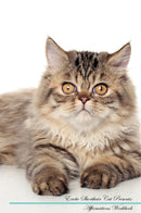 Exotic Shorthair Cat Affirmations Workbook Exotic Shorthair Cat Presents: Positive and Loving Affirmations Workbook. Includes: Mentoring Questions, Guidance, Supporting You.