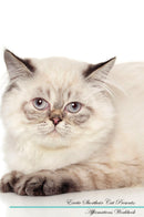 Exotic Shorthair Cat Affirmations Workbook Exotic Shorthair Cat Presents: Positive and Loving Affirmations Workbook. Includes: Mentoring Questions, Guidance, Supporting You.