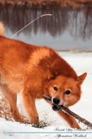 Finnish Spitz Affirmations Workbook Finnish Spitz Presents: Positive and Loving Affirmations Workbook. Includes: Mentoring Questions, Guidance, Supporting You.