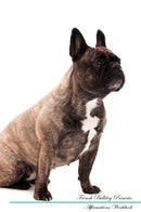 French Bulldog Affirmations Workbook French Bulldog Presents: Positive and Loving Affirmations Workbook. Includes: Mentoring Questions, Guidance, Supporting You.