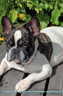 French Bulldog Affirmations Workbook French Bulldog Presents: Positive and Loving Affirmations Workbook. Includes: Mentoring Questions, Guidance, Supporting You.