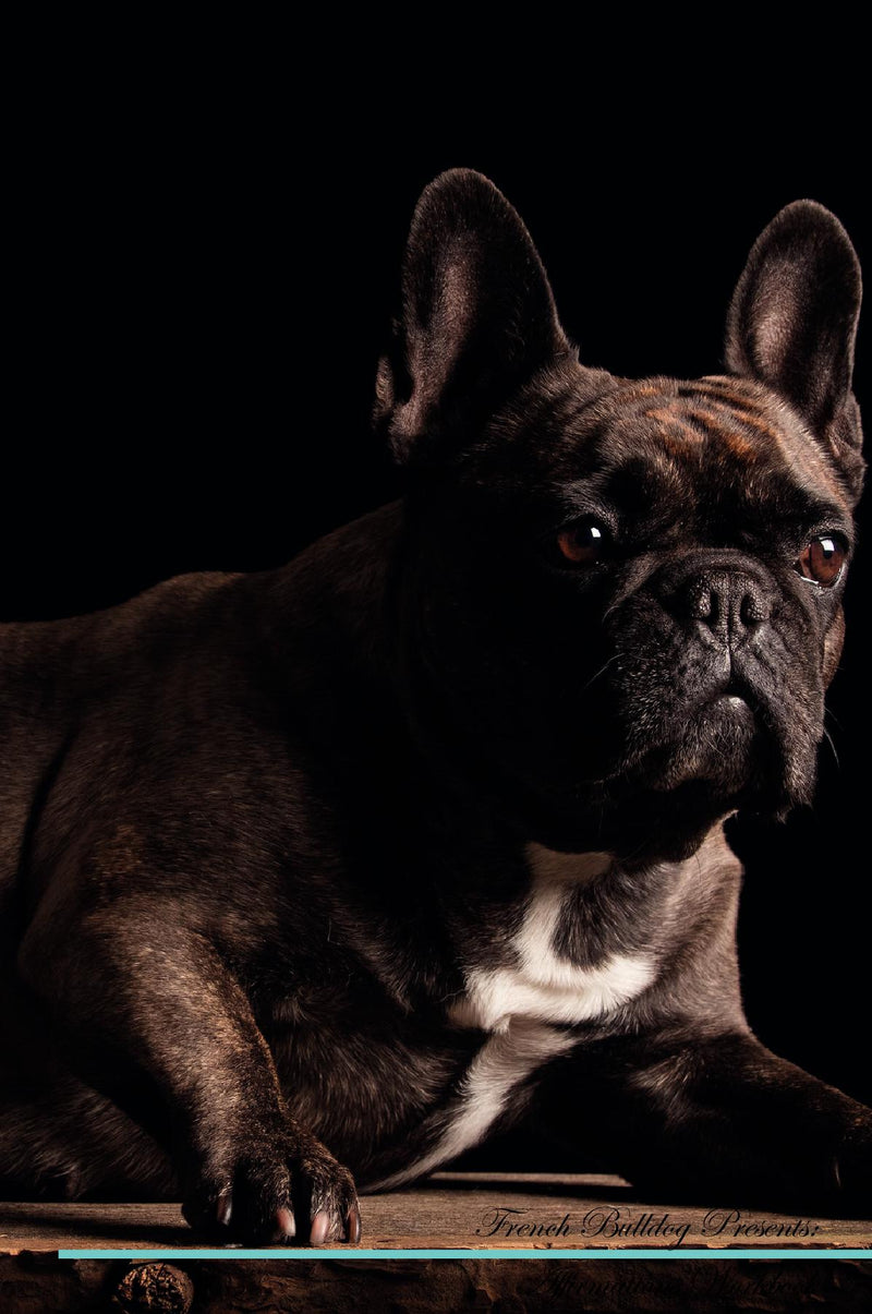 French Bulldog Affirmations Workbook French Bulldog Presents: Positive and Loving Affirmations Workbook. Includes: Mentoring Questions, Guidance, Supporting You.
