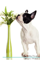 French Bulldog Affirmations Workbook French Bulldog Presents: Positive and Loving Affirmations Workbook. Includes: Mentoring Questions, Guidance, Supporting You.