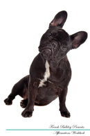 French Bulldog Affirmations Workbook French Bulldog Presents: Positive and Loving Affirmations Workbook. Includes: Mentoring Questions, Guidance, Supporting You.