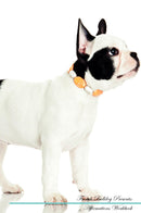 French Bulldog Affirmations Workbook French Bulldog Presents: Positive and Loving Affirmations Workbook. Includes: Mentoring Questions, Guidance, Supporting You.