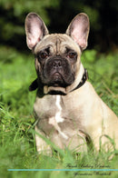 French Bulldog Affirmations Workbook French Bulldog Presents: Positive and Loving Affirmations Workbook. Includes: Mentoring Questions, Guidance, Supporting You.