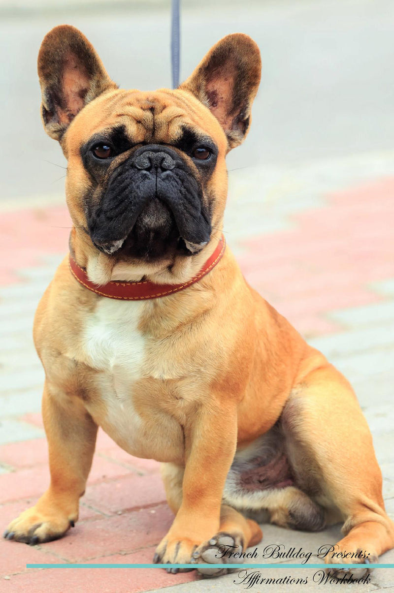 French Bulldog Affirmations Workbook French Bulldog Presents: Positive and Loving Affirmations Workbook. Includes: Mentoring Questions, Guidance, Supporting You.