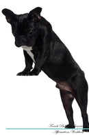 French Bulldog Affirmations Workbook French Bulldog Presents: Positive and Loving Affirmations Workbook. Includes: Mentoring Questions, Guidance, Supporting You.