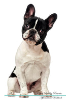 French Bulldog Affirmations Workbook French Bulldog Presents: Positive and Loving Affirmations Workbook. Includes: Mentoring Questions, Guidance, Supporting You.